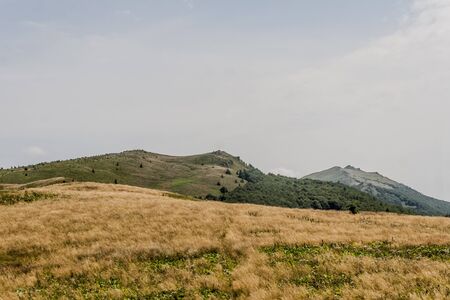Road from Widelki to Tarnica through Bukowe Berdo in the Bieszczady Mountains in Polandの写真素材