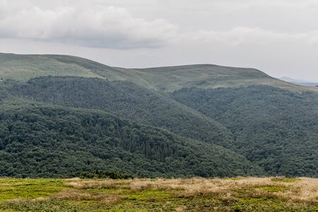 Road from Widelki to Tarnica through Bukowe Berdo in the Bieszczady Mountains in Polandの写真素材