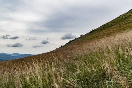 Road from Widelki to Tarnica through Bukowe Berdo in the Bieszczady Mountains in Polandの写真素材