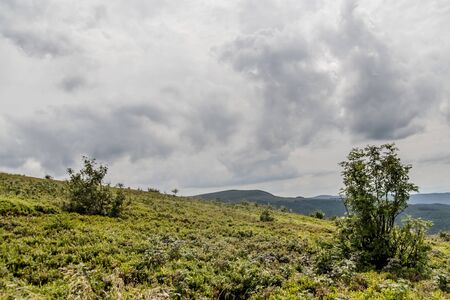 Road from Widelki to Tarnica through Bukowe Berdo in the Bieszczady Mountains in Polandの写真素材