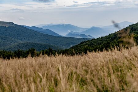 Road from Widelki to Tarnica through Bukowe Berdo in the Bieszczady Mountains in Polandの写真素材