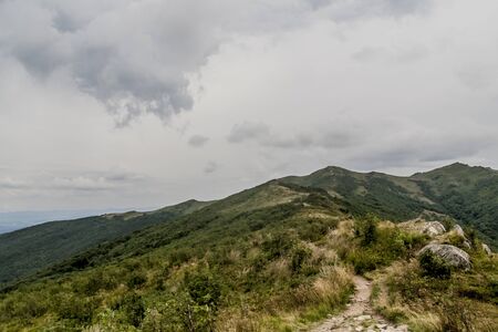 Road from Widelki to Tarnica through Bukowe Berdo in the Bieszczady Mountains in Polandの写真素材