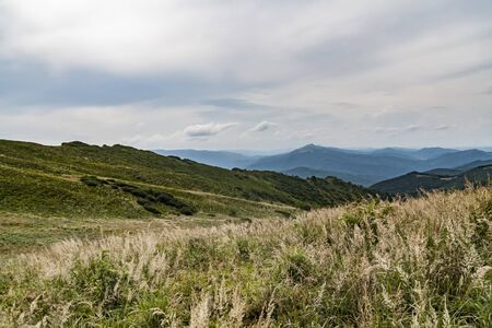 Road from Widelki to Tarnica through Bukowe Berdo in the Bieszczady Mountains in Polandの写真素材