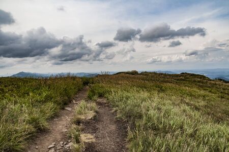 Road from Widelki to Tarnica through Bukowe Berdo in the Bieszczady Mountains in Polandの写真素材