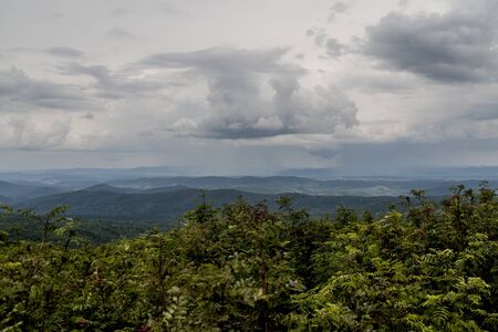 Road from Widelki to Tarnica through Bukowe Berdo in the Bieszczady Mountains in Polandの写真素材