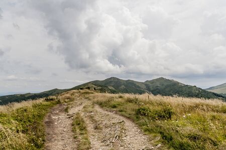 Road from Widelki to Tarnica through Bukowe Berdo in the Bieszczady Mountains in Polandの写真素材