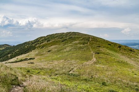 Road from Widelki to Tarnica through Bukowe Berdo in the Bieszczady Mountains in Polandの写真素材