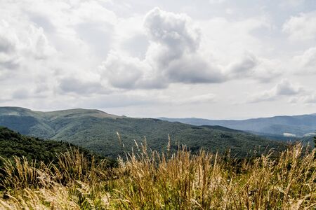 Road from Widelki to Tarnica through Bukowe Berdo in the Bieszczady Mountains in Polandの写真素材