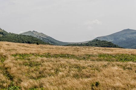 Road from Widelki to Tarnica through Bukowe Berdo in the Bieszczady Mountains in Polandの写真素材