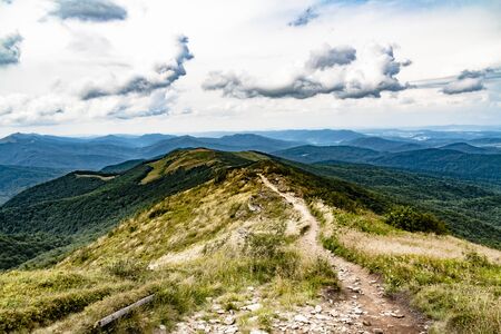 Road from Widelki to Tarnica through Bukowe Berdo in the Bieszczady Mountains in Polandの写真素材