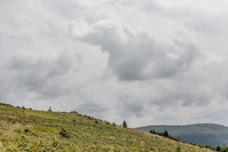 Road from Widelki to Tarnica through Bukowe Berdo in the Bieszczady Mountains in Polandの写真素材