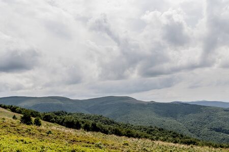 Road from Widelki to Tarnica through Bukowe Berdo in the Bieszczady Mountains in Polandの写真素材
