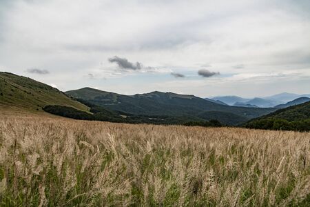 Road from Widelki to Tarnica through Bukowe Berdo in the Bieszczady Mountains in Polandの写真素材