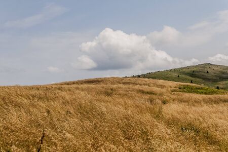 Road from Widelki to Tarnica through Bukowe Berdo in the Bieszczady Mountains in Polandの写真素材