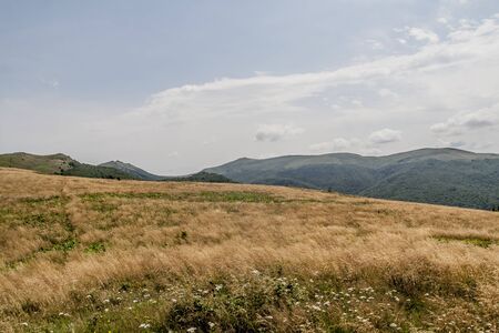 Road from Widelki to Tarnica through Bukowe Berdo in the Bieszczady Mountains in Polandの写真素材