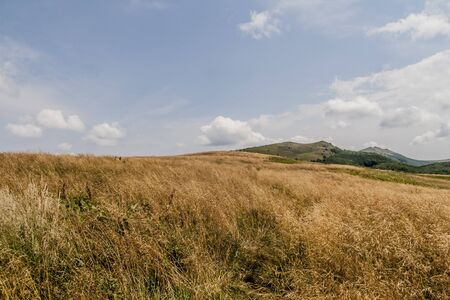 Road from Widelki to Tarnica through Bukowe Berdo in the Bieszczady Mountains in Polandの写真素材