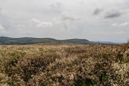 Road from Widelki to Tarnica through Bukowe Berdo in the Bieszczady Mountains in Polandの写真素材