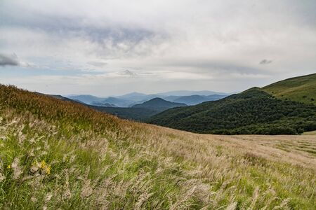 Road from Widelki to Tarnica through Bukowe Berdo in the Bieszczady Mountains in Polandの写真素材