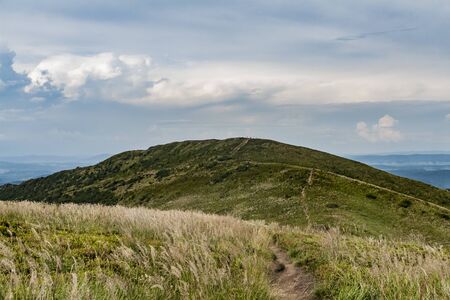 Road from Widelki to Tarnica through Bukowe Berdo in the Bieszczady Mountains in Polandの写真素材