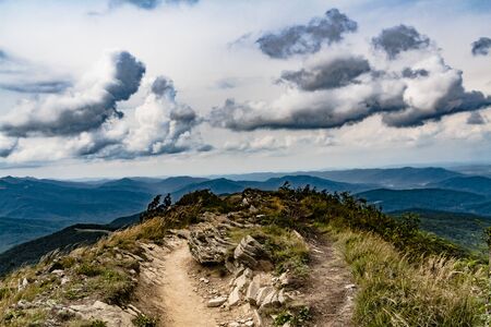 Road from Widelki to Tarnica through Bukowe Berdo in the Bieszczady Mountains in Polandの写真素材