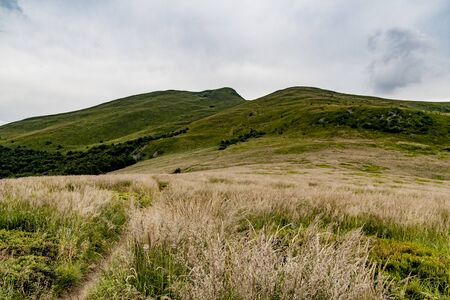 Road from Widelki to Tarnica through Bukowe Berdo in the Bieszczady Mountains in Polandの写真素材