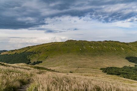 Road from Widelki to Tarnica through Bukowe Berdo in the Bieszczady Mountains in Polandの写真素材