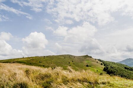 Road from Widelki to Tarnica through Bukowe Berdo in the Bieszczady Mountains in Polandの写真素材