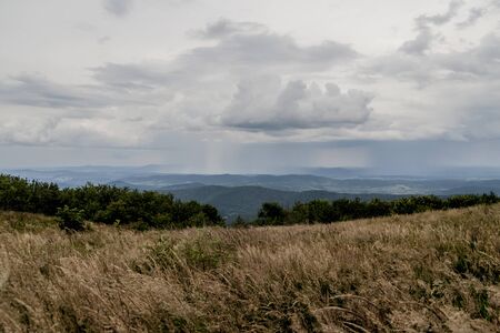 Road from Widelki to Tarnica through Bukowe Berdo in the Bieszczady Mountains in Polandの写真素材