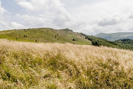 Road from Widelki to Tarnica through Bukowe Berdo in the Bieszczady Mountains in Polandの写真素材