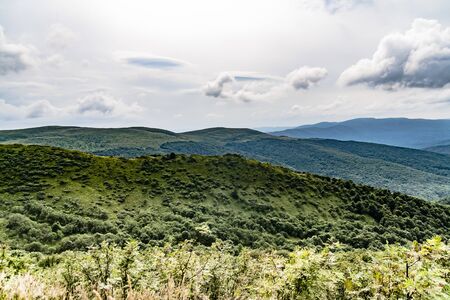 Road from Widelki to Tarnica through Bukowe Berdo in the Bieszczady Mountains in Polandの写真素材
