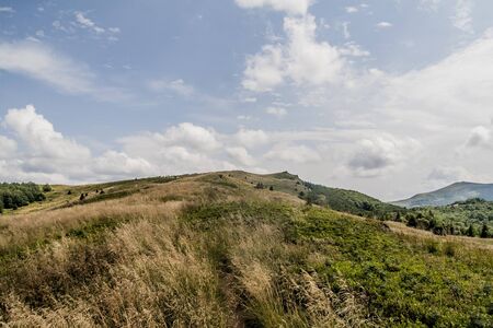 Road from Widelki to Tarnica through Bukowe Berdo in the Bieszczady Mountains in Polandの写真素材