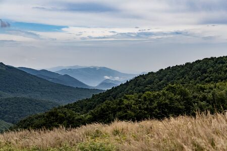 Road from Widelki to Tarnica through Bukowe Berdo in the Bieszczady Mountains in Polandの写真素材