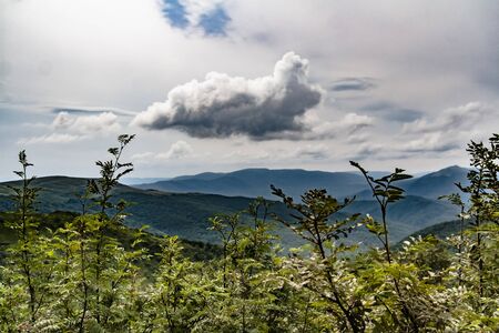 Road from Widelki to Tarnica through Bukowe Berdo in the Bieszczady Mountains in Polandの写真素材