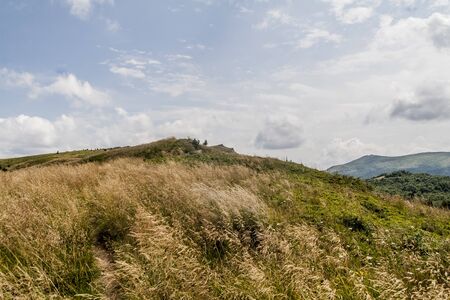 Road from Widelki to Tarnica through Bukowe Berdo in the Bieszczady Mountains in Polandの写真素材