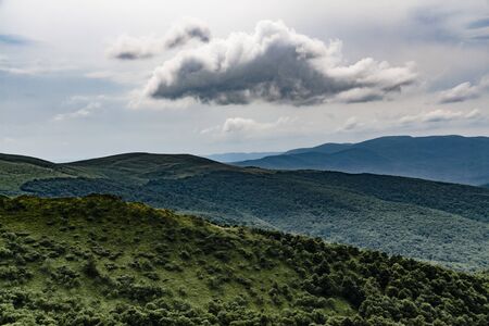 Road from Widelki to Tarnica through Bukowe Berdo in the Bieszczady Mountains in Polandの写真素材