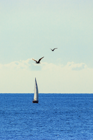 Yacht with white sails and seagulls against the sky with cloudsの写真素材