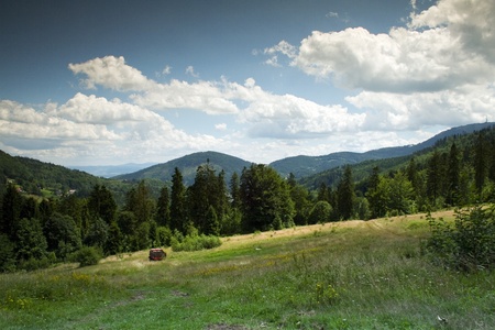 Beautiful polish mountains Beskidy  Summer landscape の写真素材