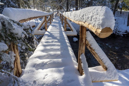 Snow-covered bridge in a mountain forest. Around Oravice. Slovakia.