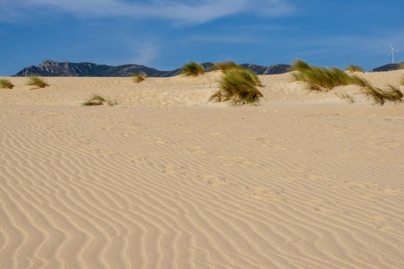 Tarifa beach on a beautiful sunny day. Spain.の写真素材