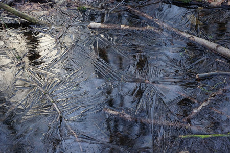 Structure of frozen ice with leaves.                               