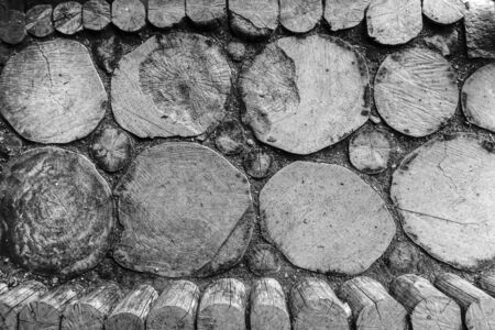 Texture of the wood. Old tree trunks.                              の写真素材