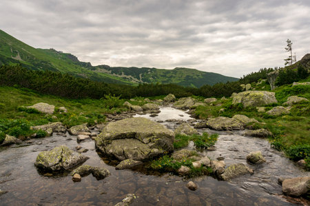 Gasienicowa Valley in June. Tatra Mountains. Poland.の写真素材