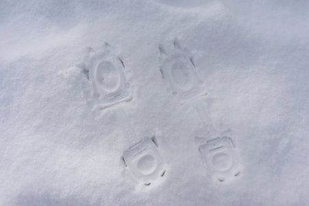 Traces of crampons on the snow.
