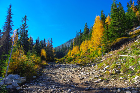 Panorama mountain autumn landscape