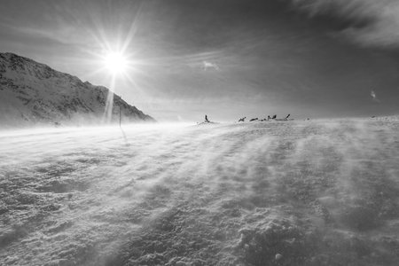 Strong wind and snow storm on a mountain peaks. Tatry.