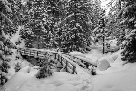 A bridge in a winter mountain forest. Tatra Mountains.の写真素材