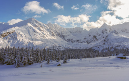 Beautiful scenery of the great snowy mountain peaksの写真素材