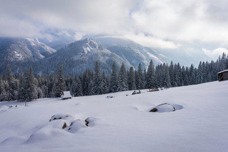 Winter landscape of the Tatra Mountains. Rusinowa Glade. Poland.