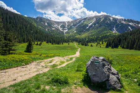 Kondratowa Valley in June. Western Tatras. Poland.の写真素材