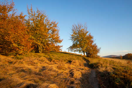 Autumn in the Bieszczady Mountains.の写真素材